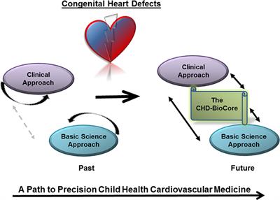 A Path to Implement Precision Child Health Cardiovascular Medicine